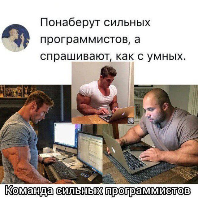 Дичи из отпуска