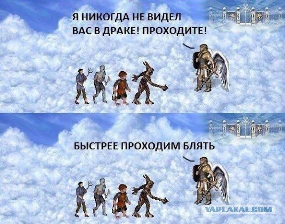 Дичи из отпуска