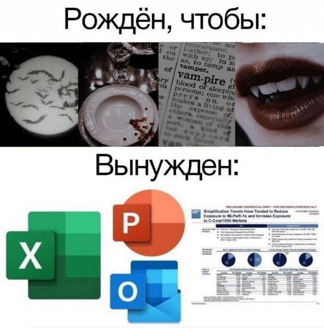 Дичи из отпуска