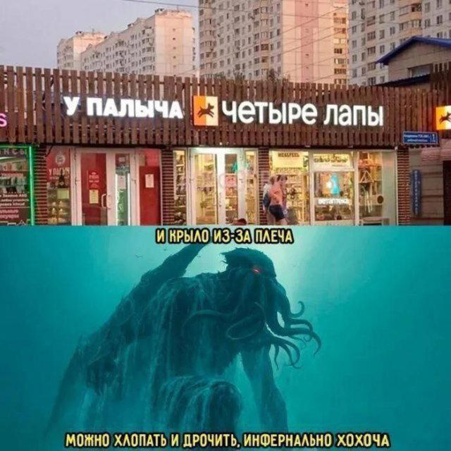 Дичи из отпуска