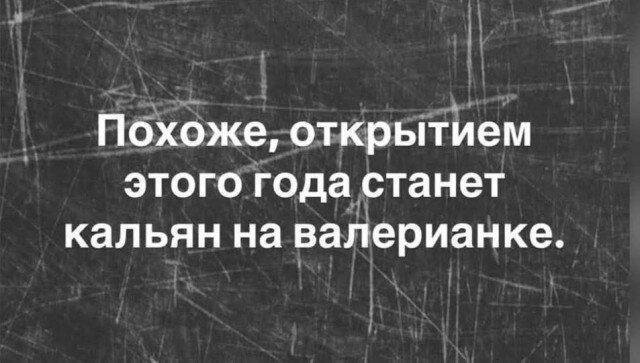 Дичи из отпуска