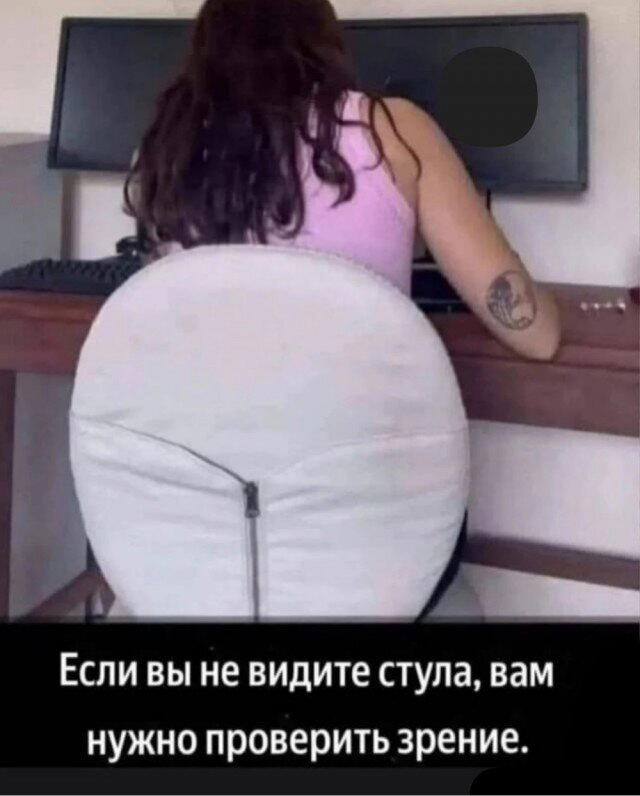 Дичи из отпуска