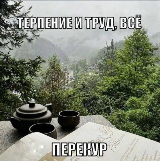 Дичи из отпуска