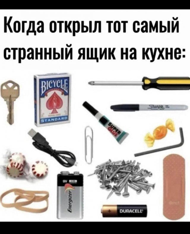 Дичи из отпуска