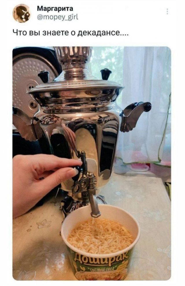 Дичи из отпуска