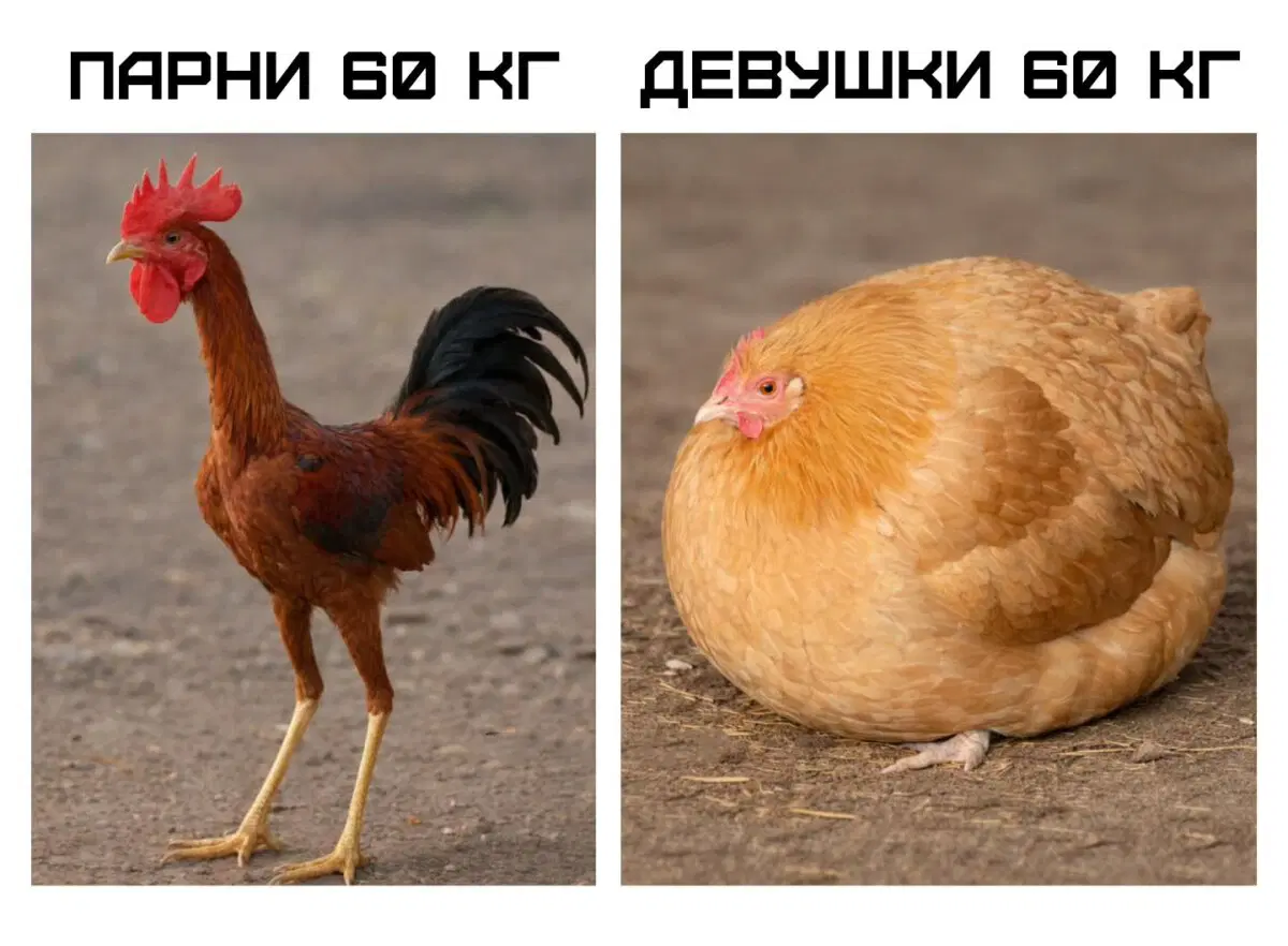Дичка добрая на четверг
