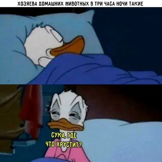 Дичка добрая на четверг