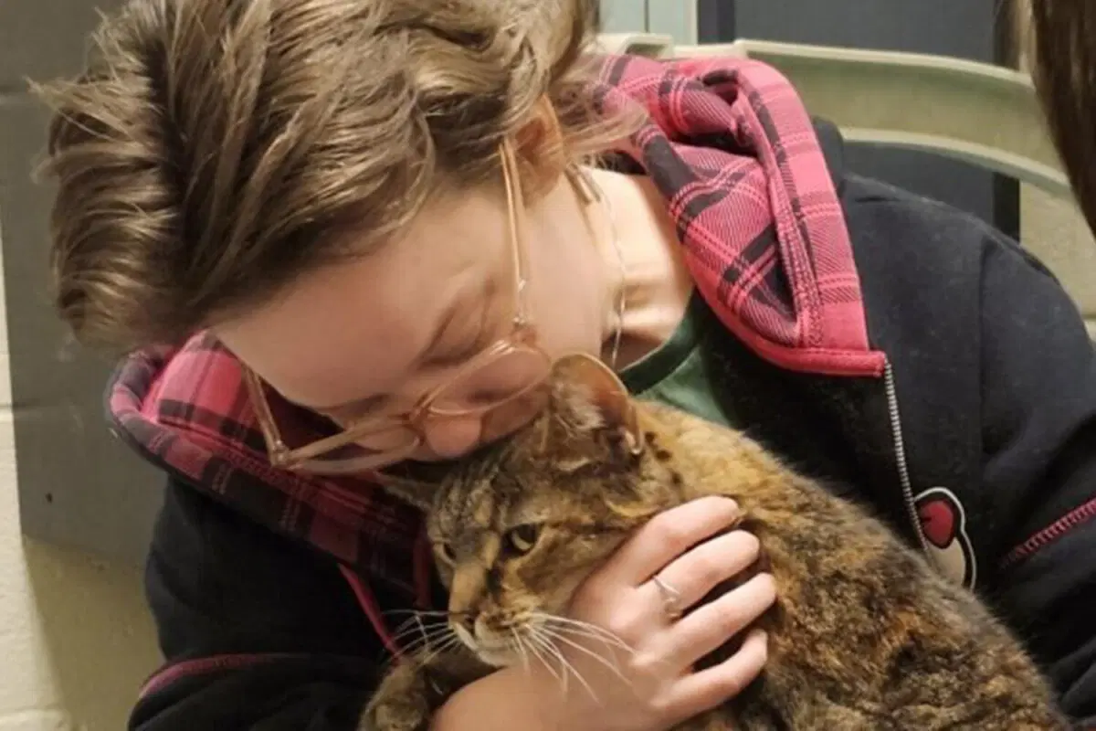 В США кот пропал и нашелся живым спустя 5 лет