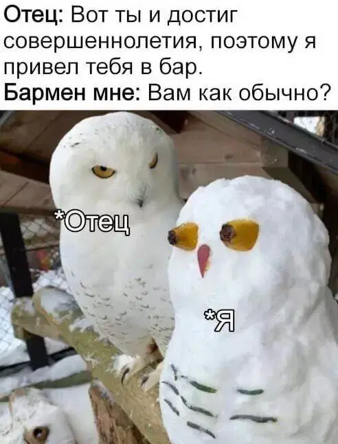 Дичка пятницы.