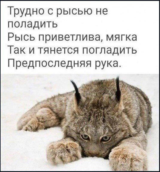 Дичка пятницы.