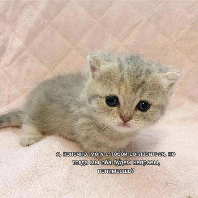 Дичка пятницы.