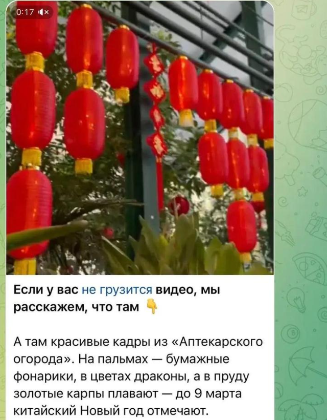 Дичка пятницы.