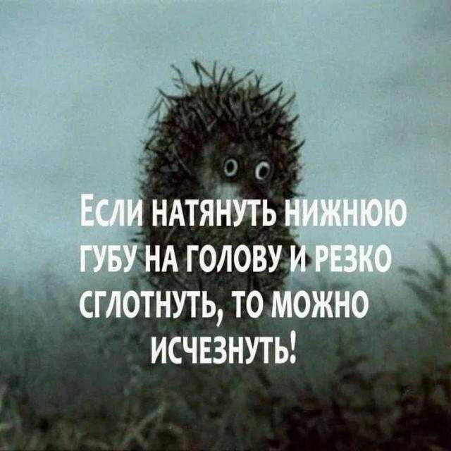 Дичка пятницы.