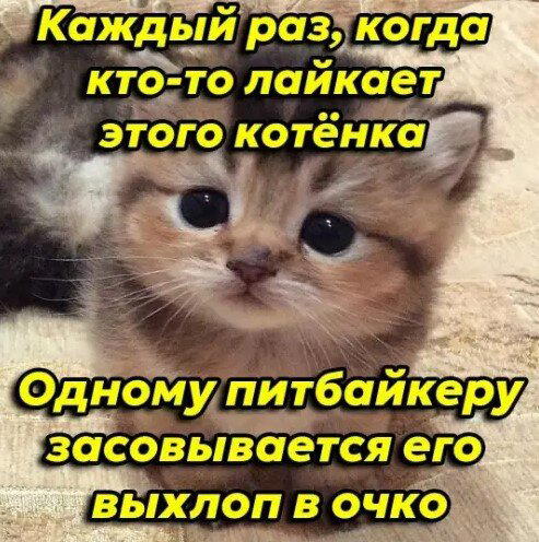 Дичка пятницы.