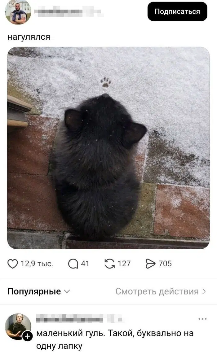 Дички на выходные