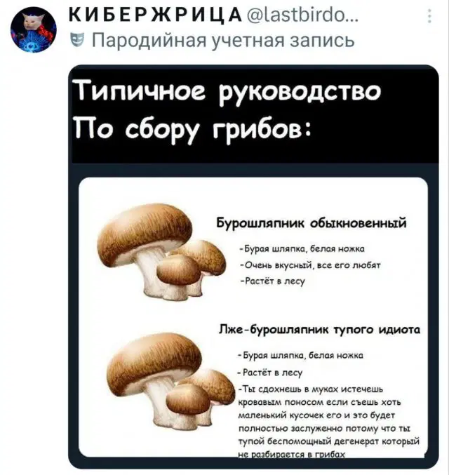 Дички на выходные