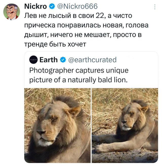 Дички на выходные