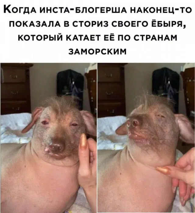 Дички на выходные