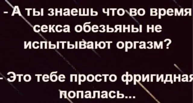 Дички на выходные