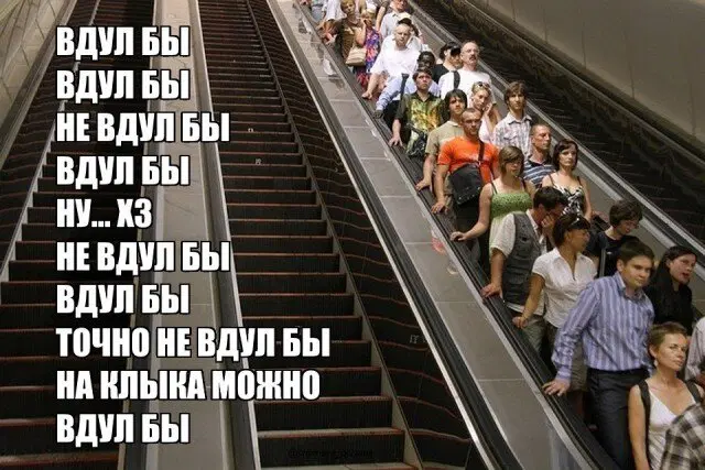 Дички на выходные