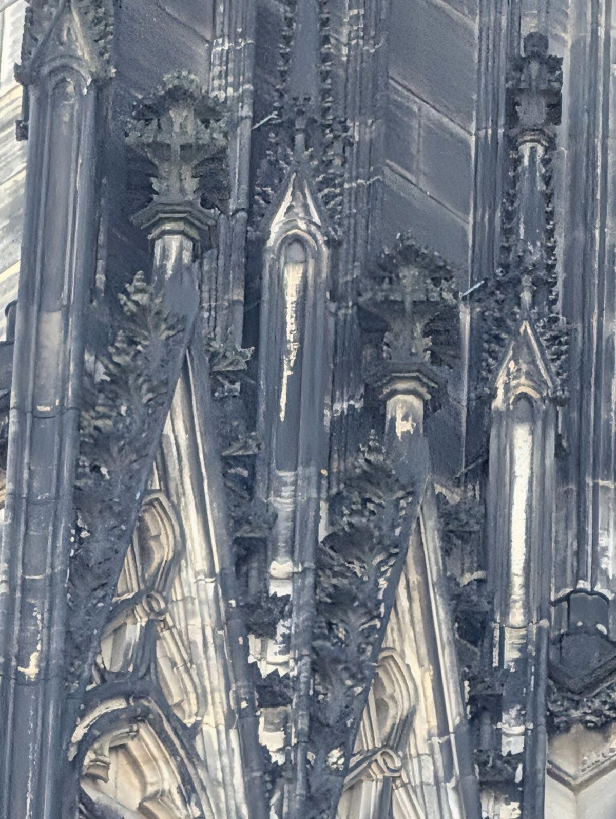 Рассматривать можно часами.