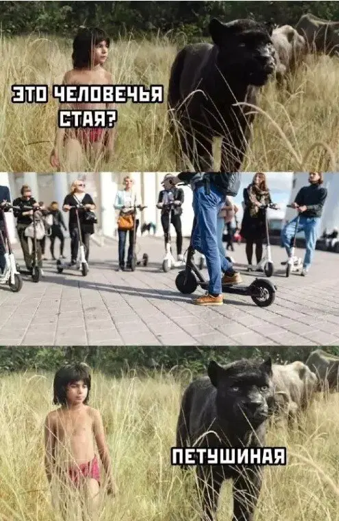 Дидидичкааа