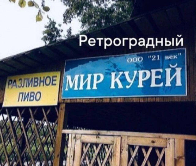 Дидидичкааа