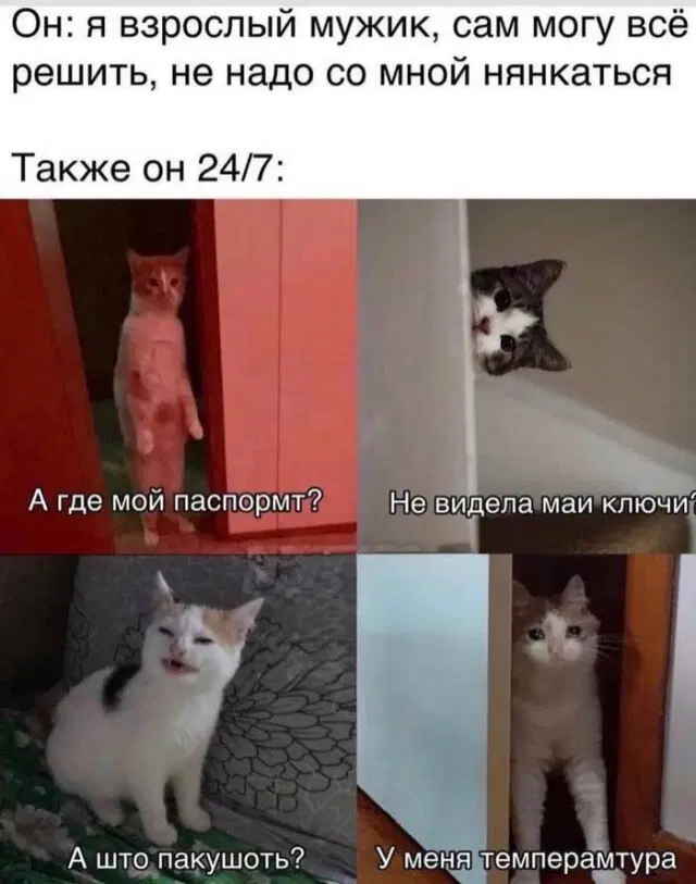 Дидидичкааа