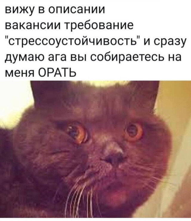 Дидидичкааа