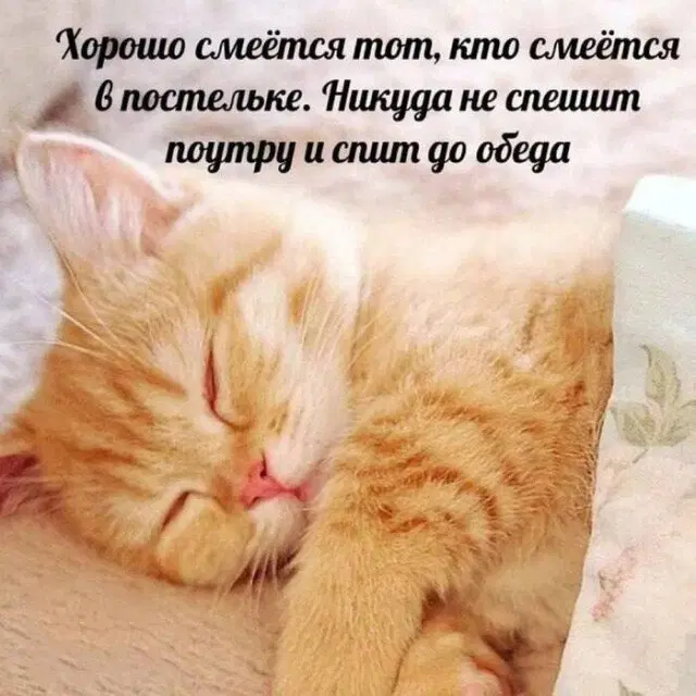 Дидидичкааа