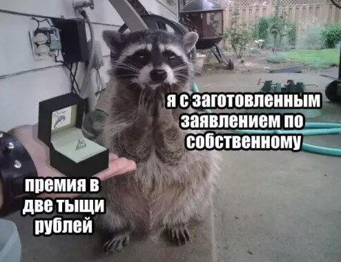 Дидидичкааа