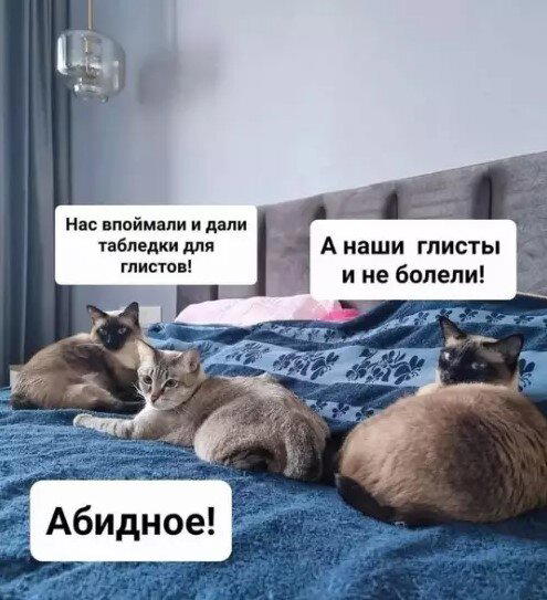 Дидидичкааа