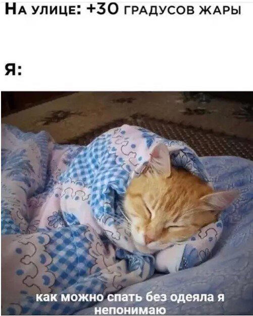 Дидидичкааа