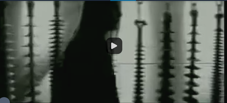 Ивент Вомбата. Слово недели - Тело.