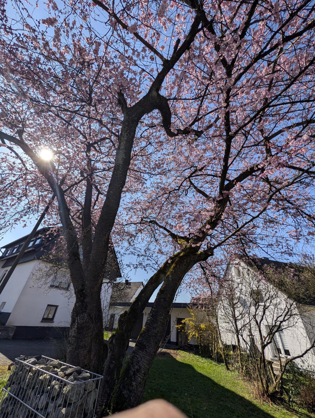 Весна тут позднее наступает.