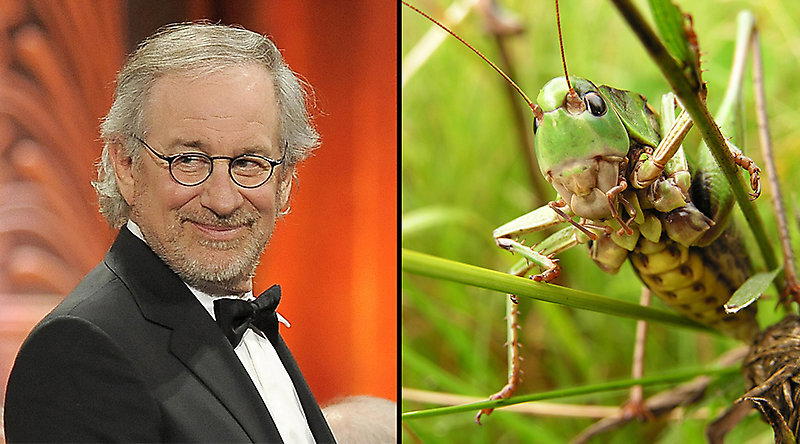 Звёздные фобии.