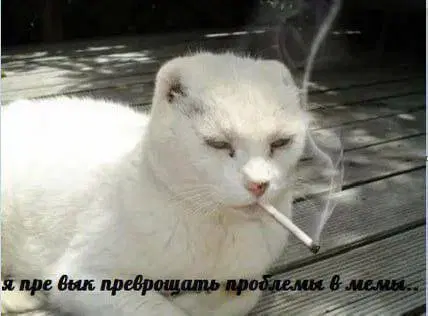 Дичка для начала недельки