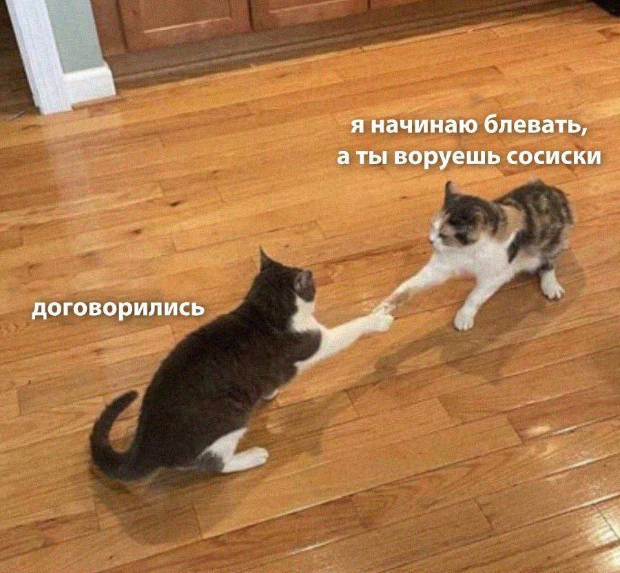 Дичка для начала недельки