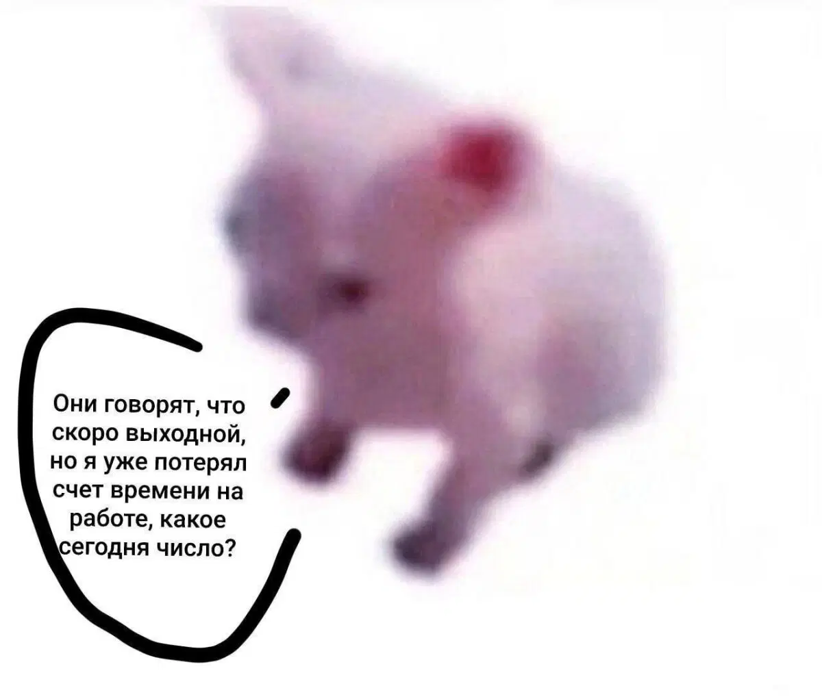 Дичка для начала недельки