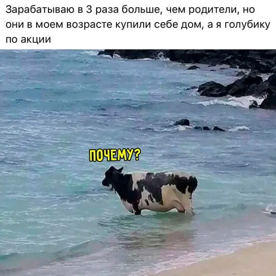 Дичка для начала недельки