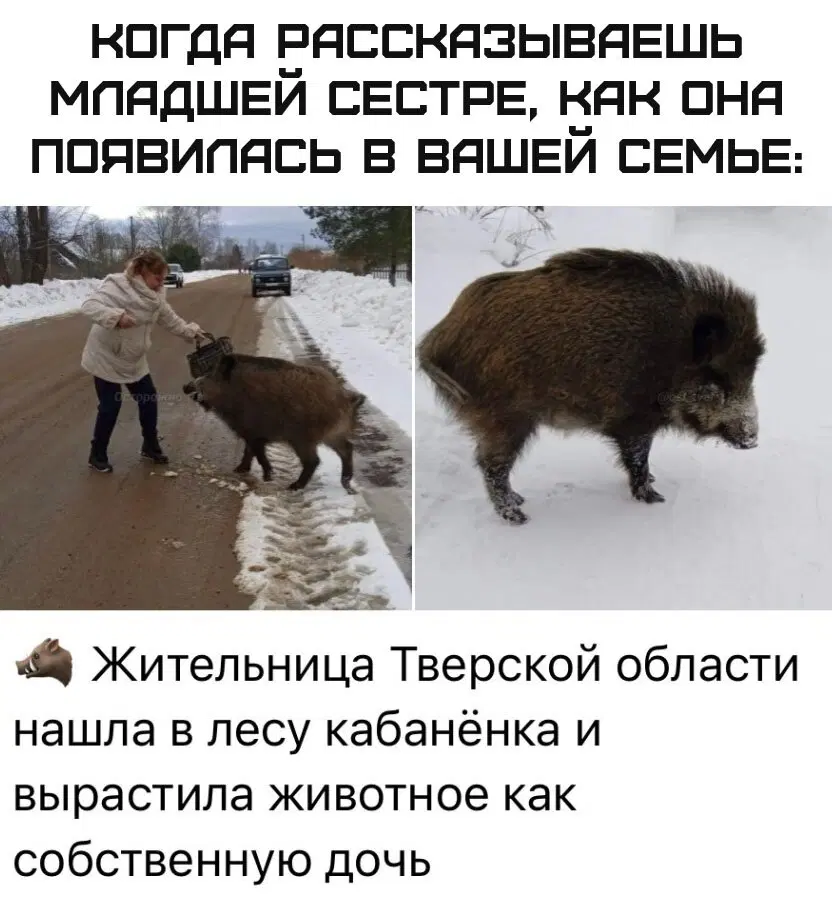 Дичка для начала недельки