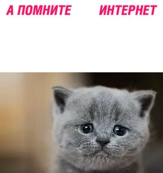 Дичка для начала недельки