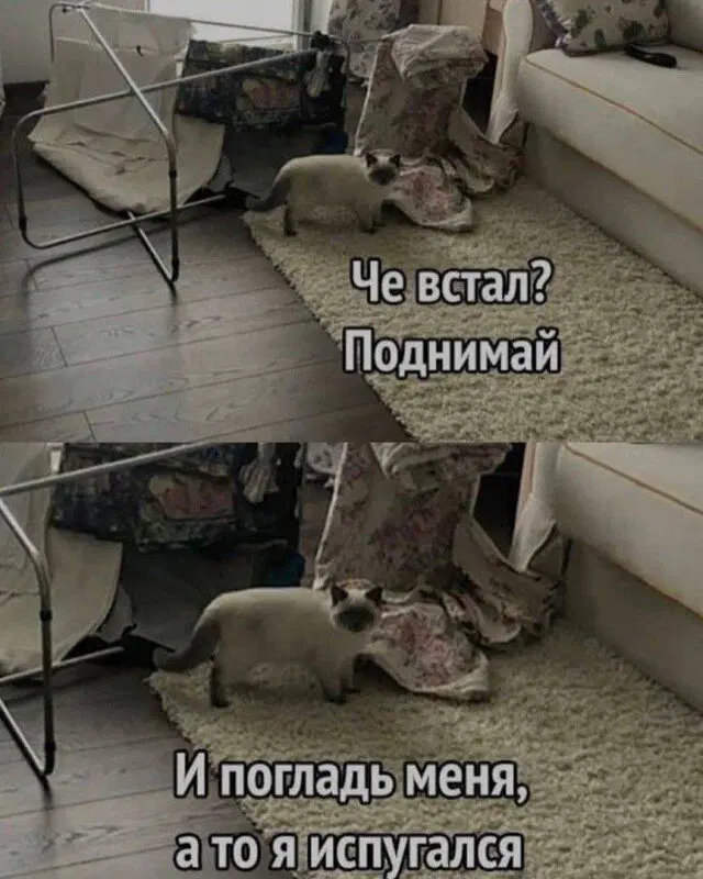 Дичка для начала недельки