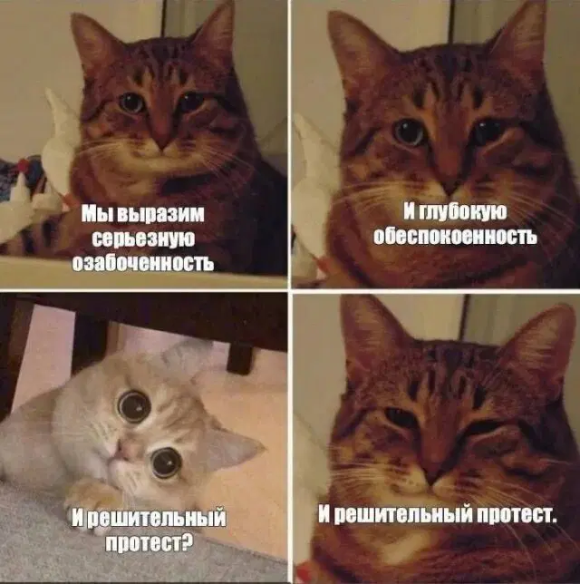 Дичка для начала недельки