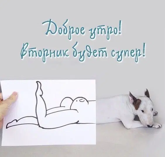 Дичка вторнику улыбка