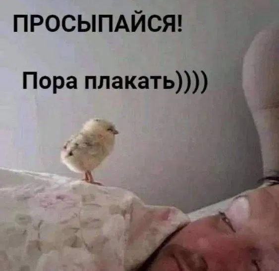 Дичка вторнику улыбка