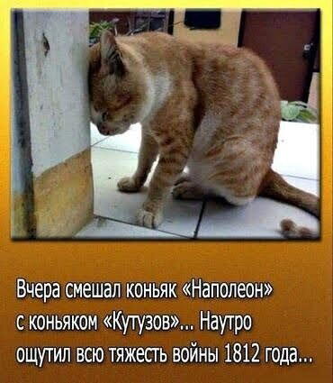 Сегодня без ивентов сегодня только дичка