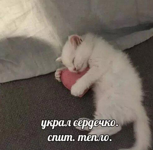 Сегодня без ивентов сегодня только дичка