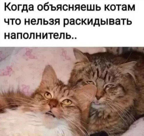 Сегодня без ивентов сегодня только дичка