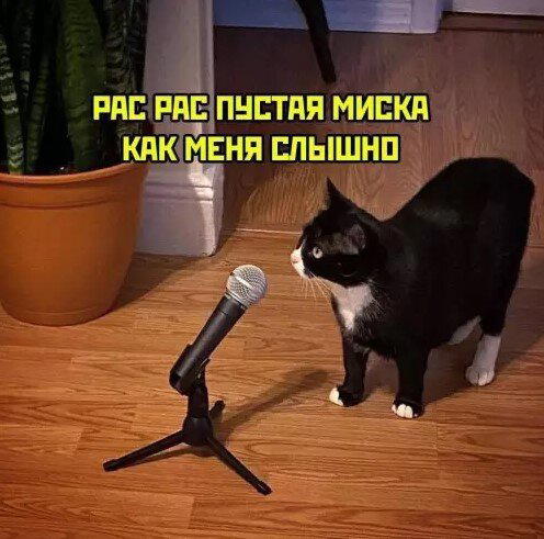 Сегодня без ивентов сегодня только дичка